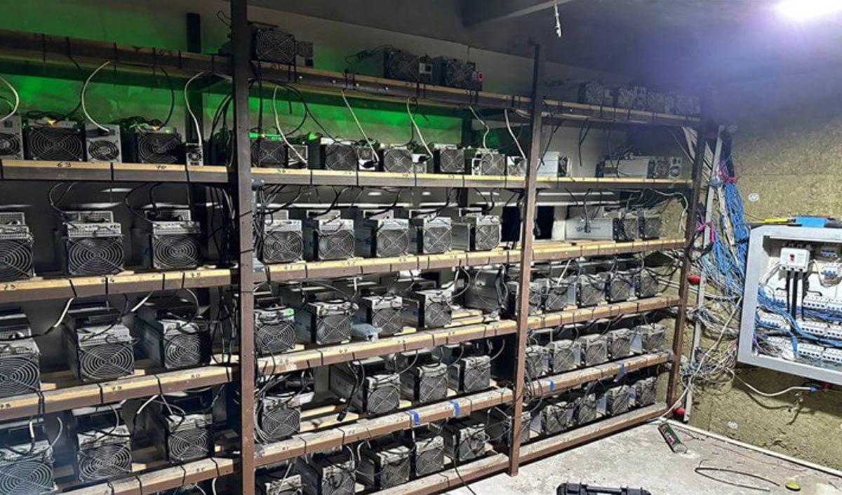 photo_2025-11-10_14-40-12