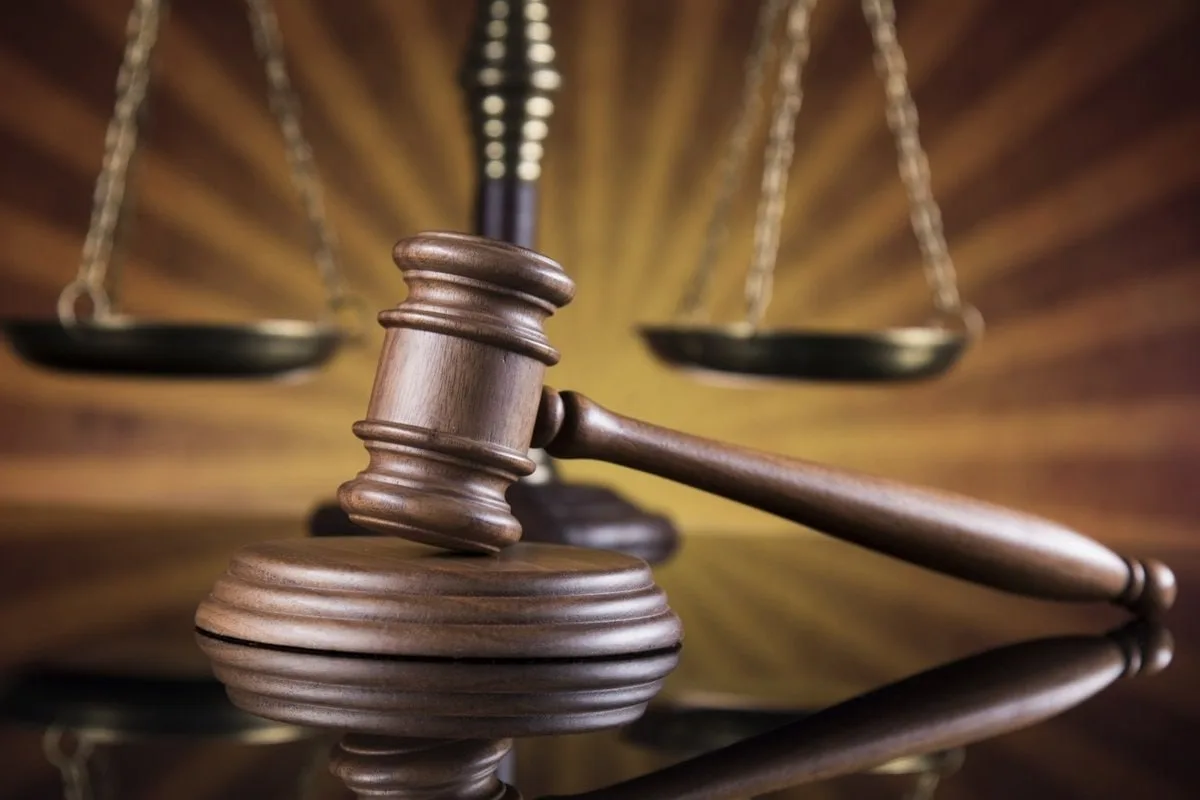 photo_2026-02-11_11-57-15