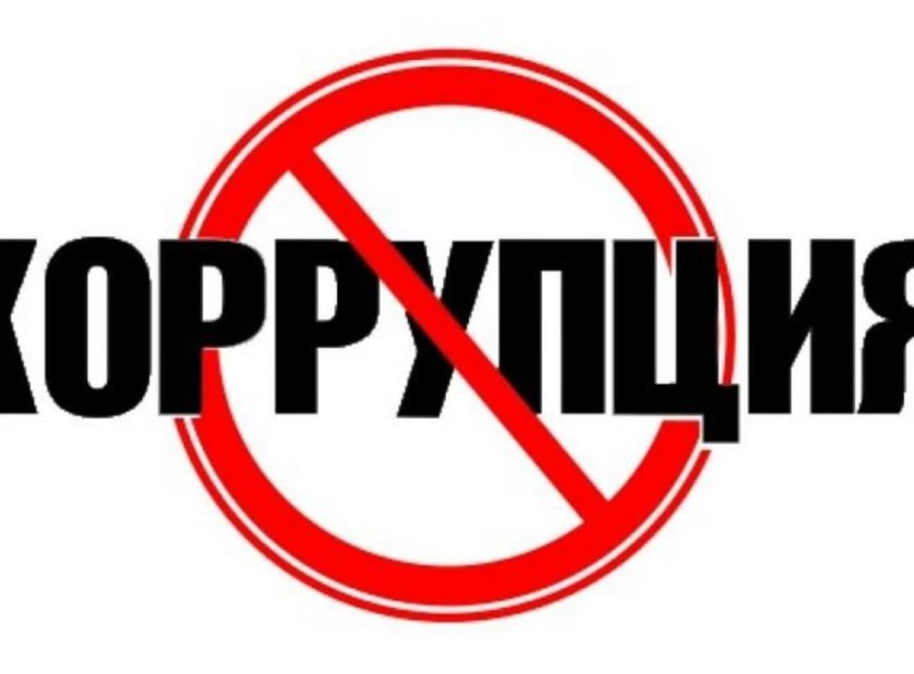 photo_2026-03-31_12-49-18