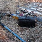 ҲАЙВОНОТ ДУНЁСИГА НОҚОНУНИЙ МУНОСАБАТ ЁКИ АПЕЛЛЯЦИЯ ИНСТИТУТИНИНГ ОДИЛ СУДЛОВНИ ТАЪМИНЛАШДАГИ ЎРНИ